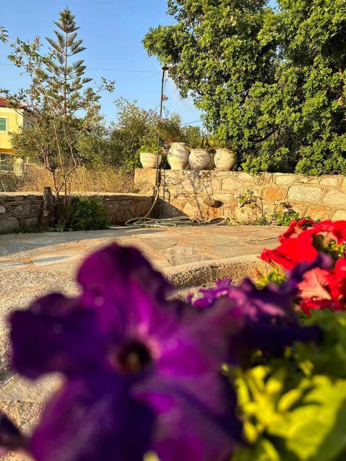 Σελήνη Apartment Kotronion  Bagian luar foto