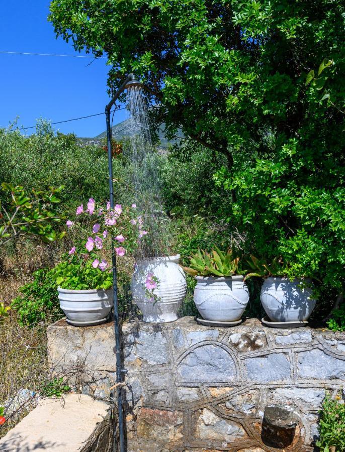 Σελήνη Apartment Kotronion  Bagian luar foto